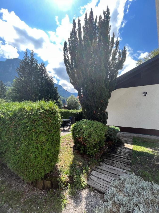 Pod Galetovcem Leilighet Bohinjska Bela Eksteriør bilde